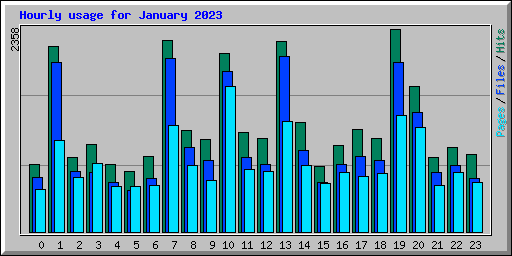 Hourly usage for January 2023
